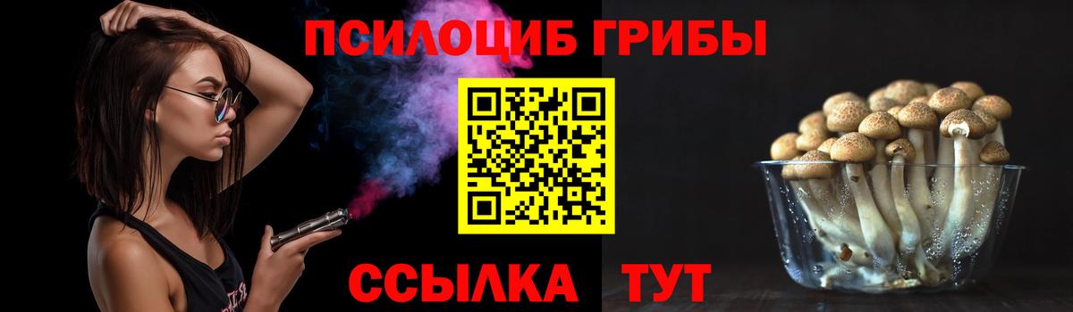 Галлюциногенные грибы прущие грибы Красный Сулин